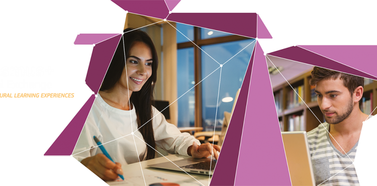 Implementa&ccedil;&atilde;o de atividades virtuais e mistas no &acirc;mbito do Erasmus+ e do CES, no contexto da Pandemia COVID-19